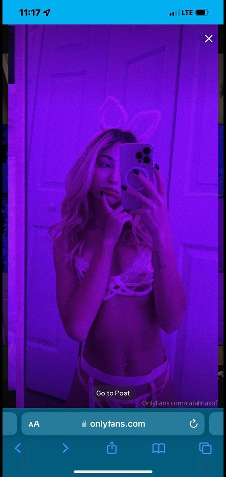 Janicee Janicee