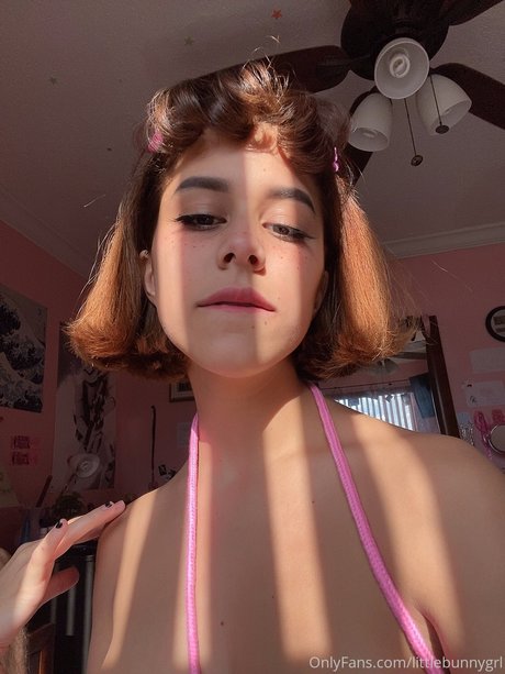 Little Bunny