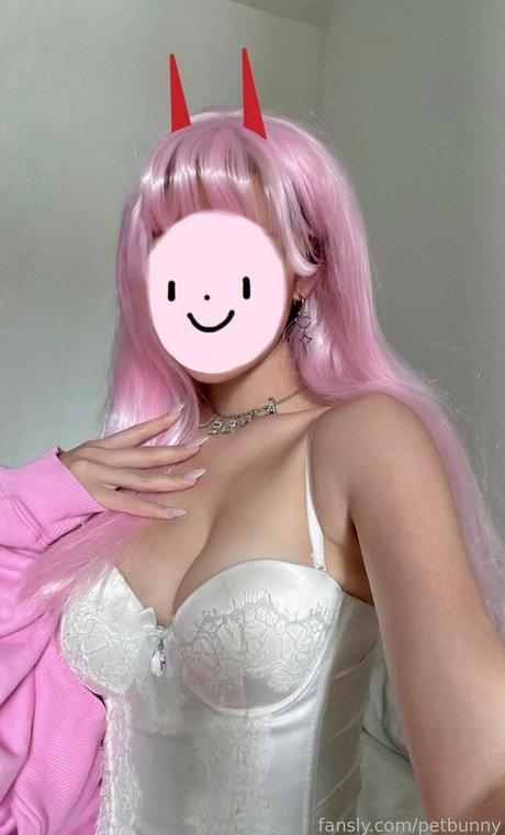 Petbunny