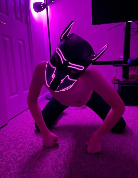 Puphaze