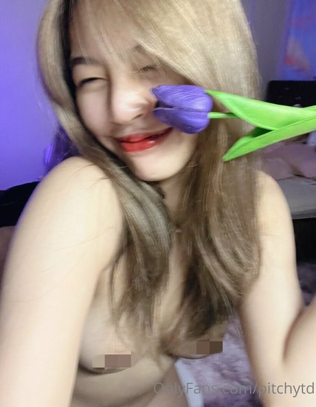 Pitchytd