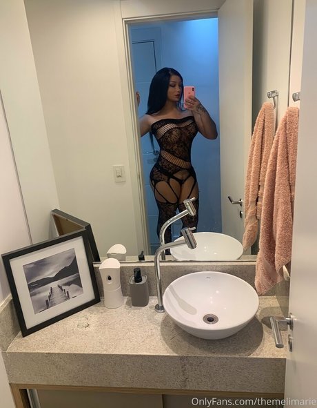 Themelimarie