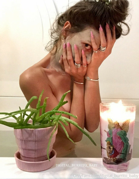 Digital_burrito_baby