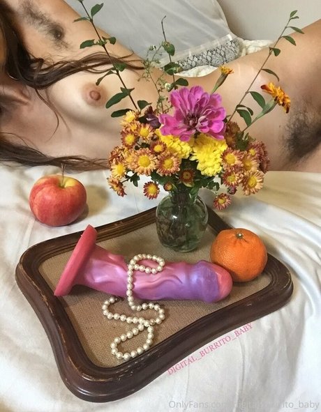 Digital_burrito_baby