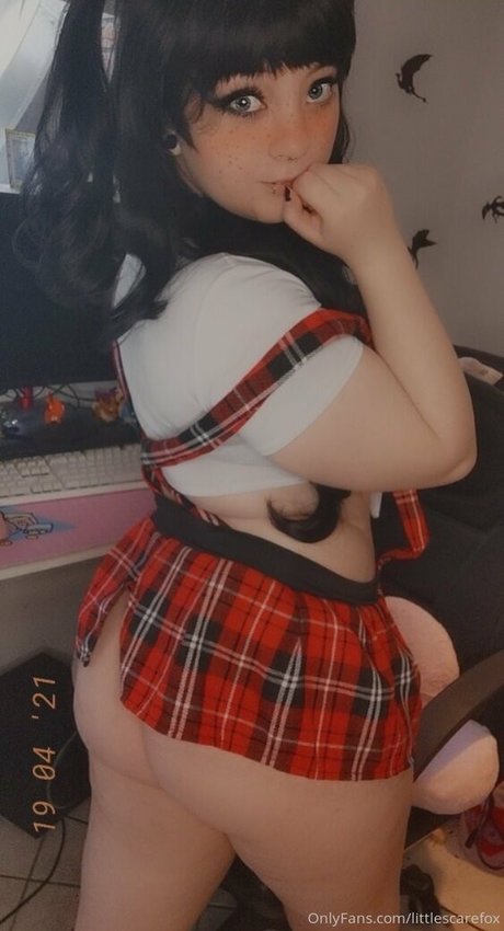 Littlescarefox