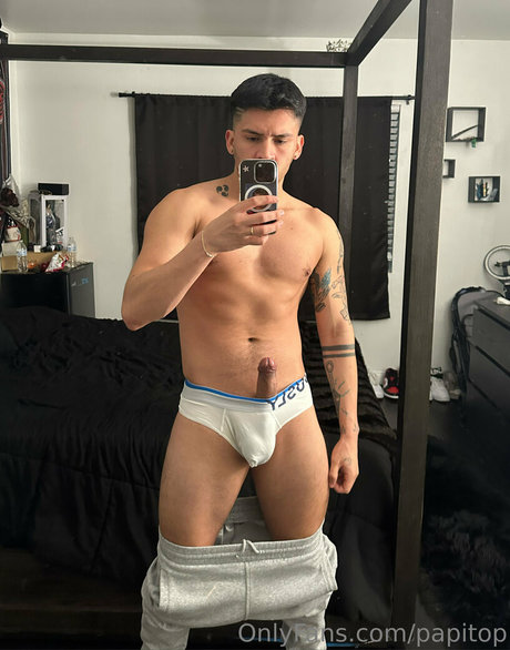 Papitop