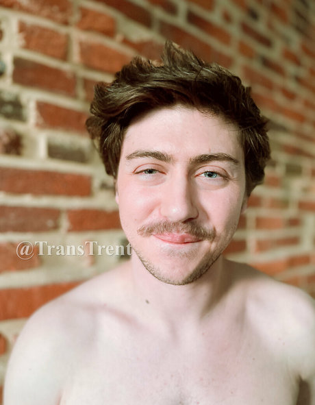 Transtrentfree