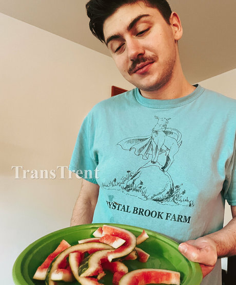 Transtrentfree