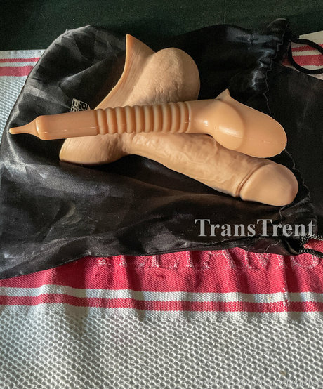 Transtrentfree