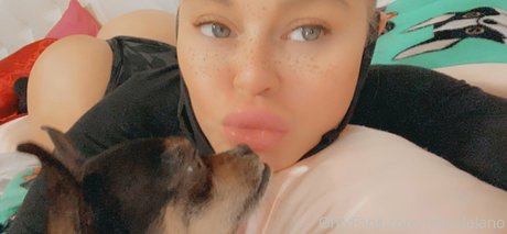 Nikkidelano