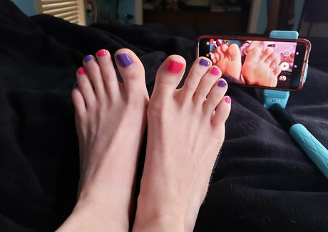 Misslaylamae