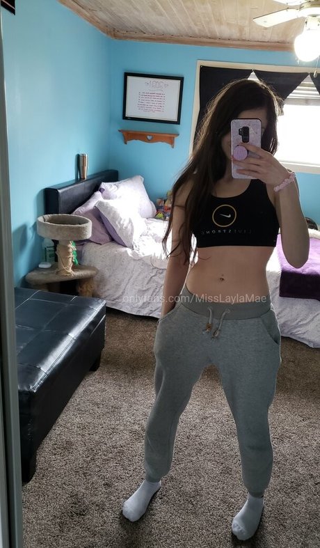 Misslaylamae