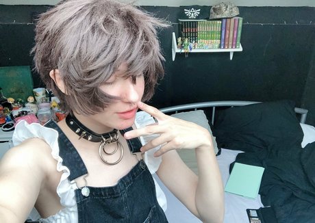 Petitetwink