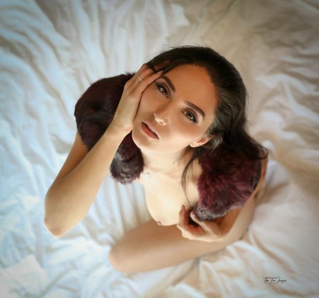 Toptierimages