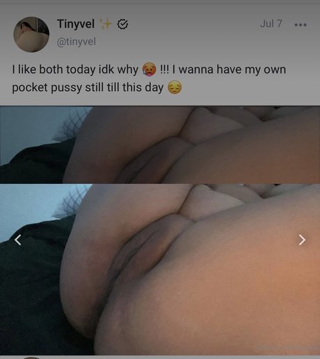 Tinyvel