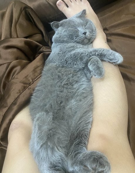 Suniebae