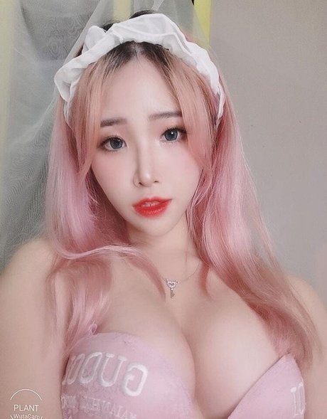 Plantlily
