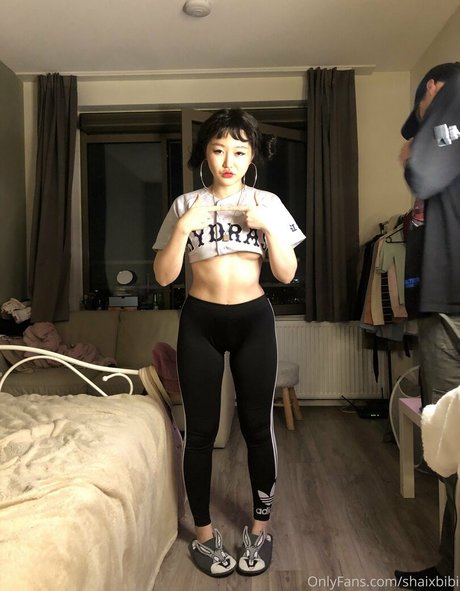 Koreanfairy2