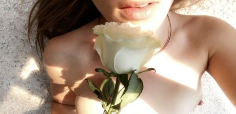 Missharperlane