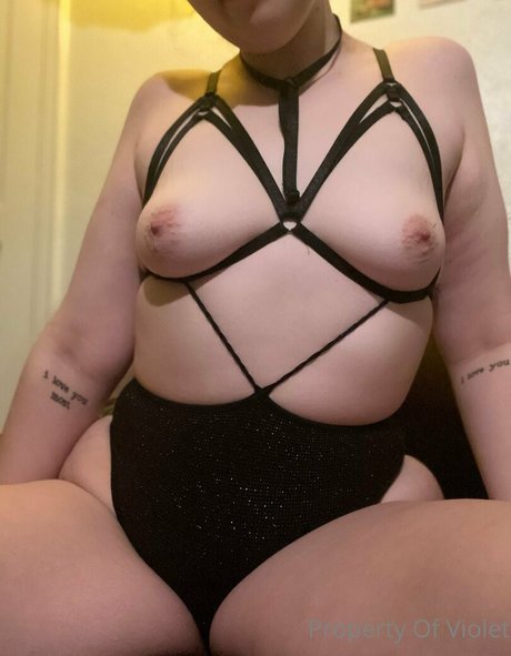 Sneakyviolet  nude leaked OnlyFans photo