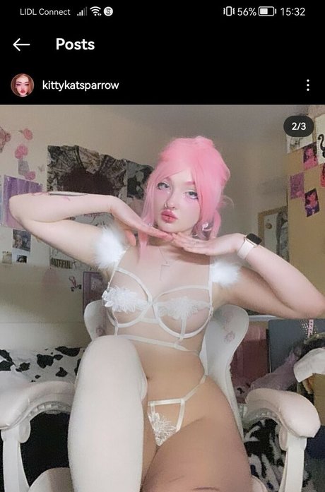 Kittykatsparrow
