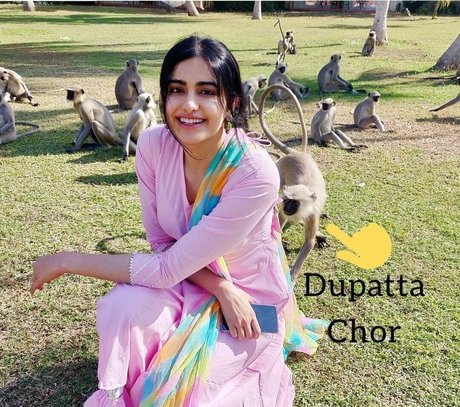 Adah Sharma