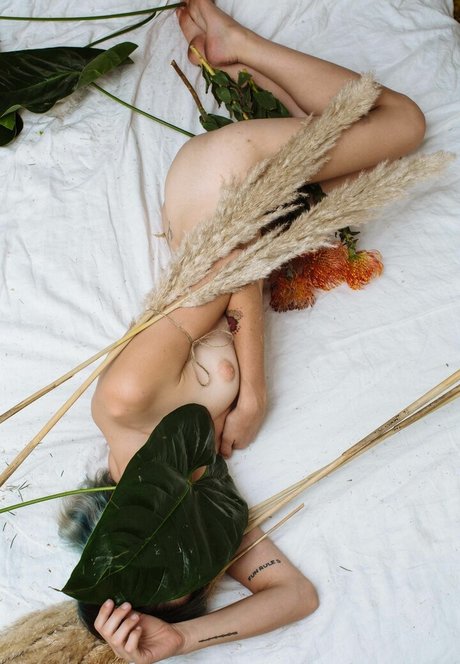 Carly Foulkes