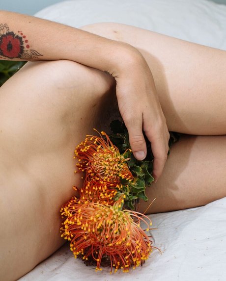 Carly Foulkes