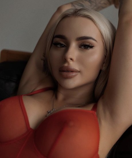 Vlada Capeloon