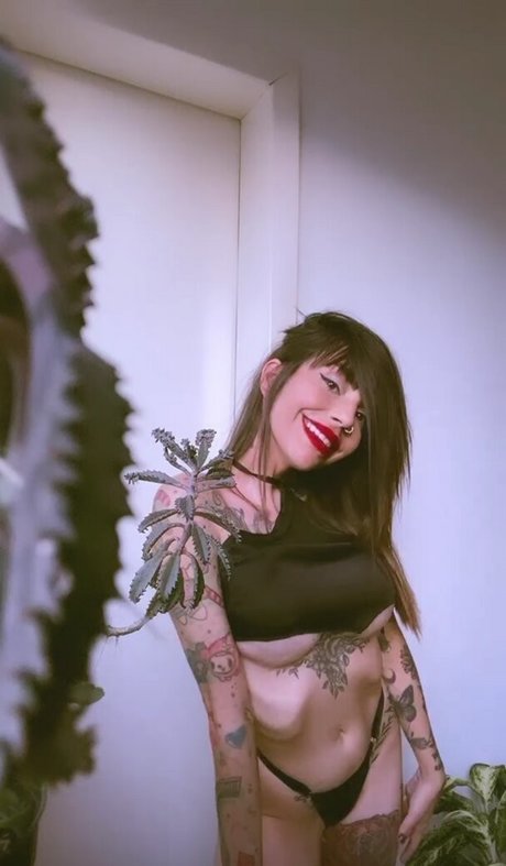 Lellycristie