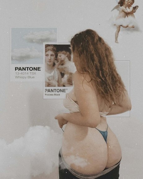 Carmen Curvy