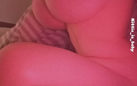 Softkttn