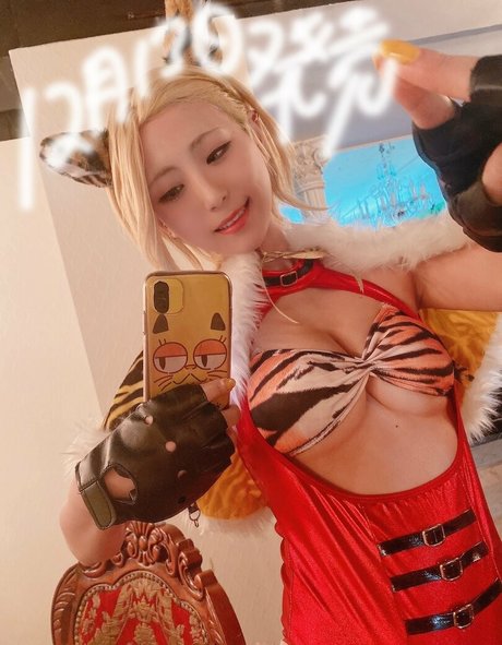 Tsunko