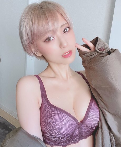 Tsunko