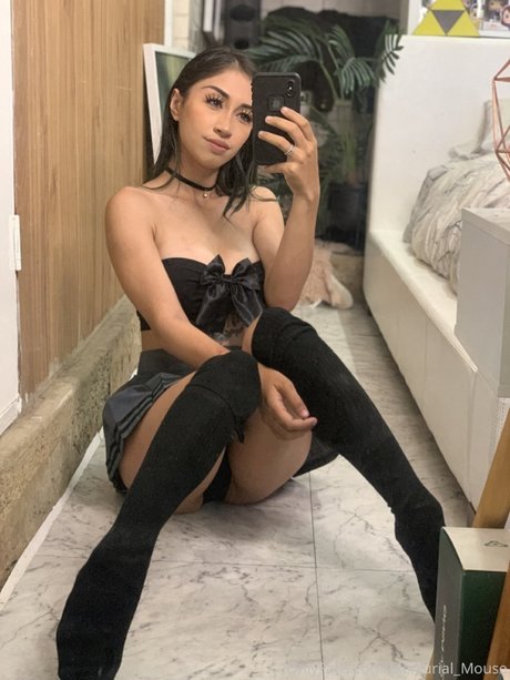 Naken lekkede OnlyFans-bilde av Mercurial Mouse