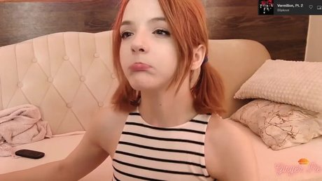 Gingerpie