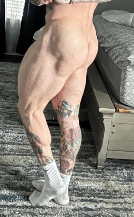 Therealvanillagorilla