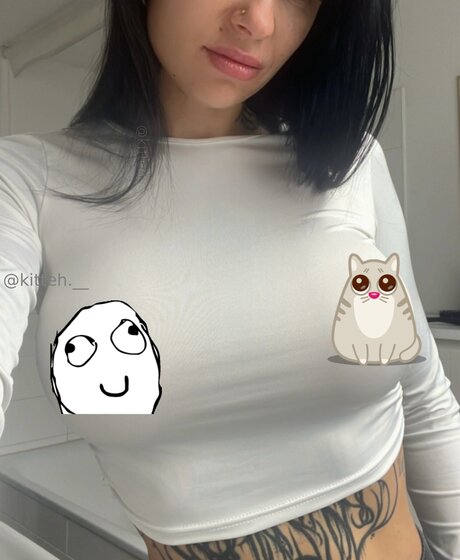 Kitteh Official
