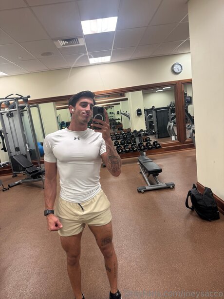 Joeysacco