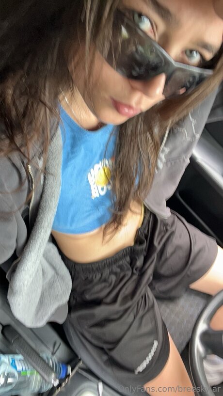 Breeskylar