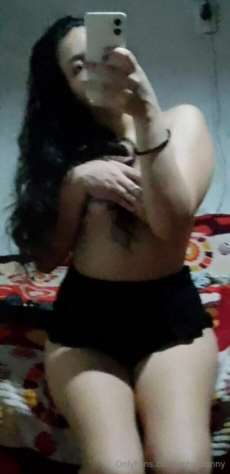 Anto Bunny