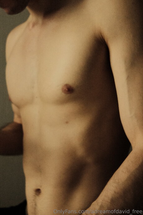 Nahá fotka uniklých OnlyFans od Adreamofdavid Free