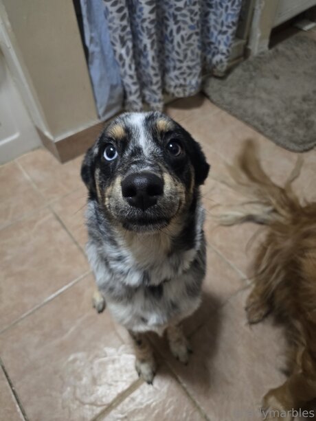 Gnarlymarbles