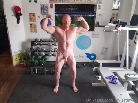 Jarvisstewart