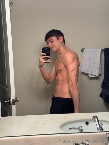 Twinkstann OnlyFans