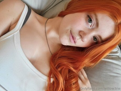 Willow Trie
