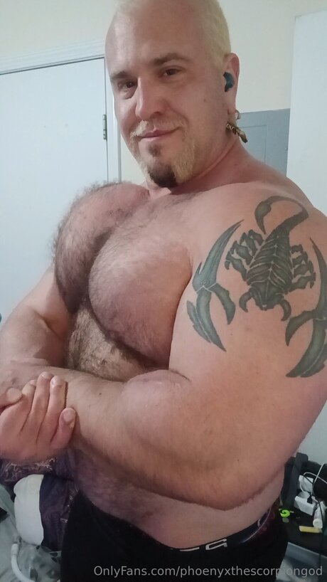 Phoenyxthescorpiongod