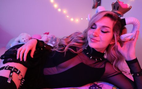 Busy B Asmr
