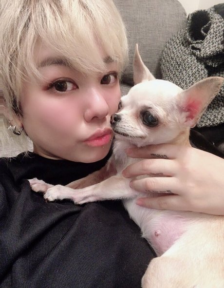 Pchan666