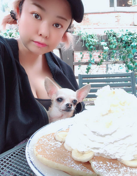 Pchan666